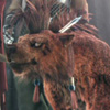 Red XIII Avatar